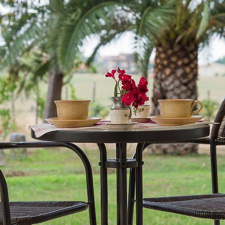 Villa Degli Oleandri Bnb Rome Luaran gambar